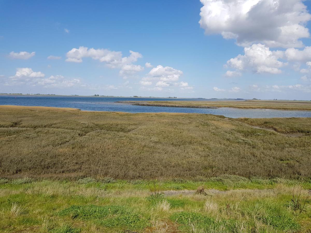 Vakantiehuis In Zeeland Sint Annaland Dış mekan fotoğraf